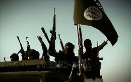Mỹ: IS vẫn là mối đe dọa đối với an ninh Iraq
