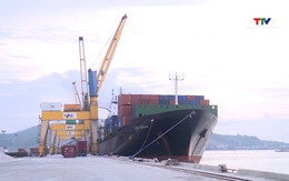 Doanh nghiệp xoay sở  ứng phó khi giá cước vận tải biển tăng cao