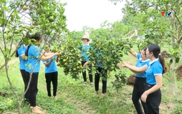 Hội Liên hiệp Phụ nữ huyện Thọ Xuân đồng hành, hỗ trợ cùng hội viên phụ nữ phát triển kinh tế
