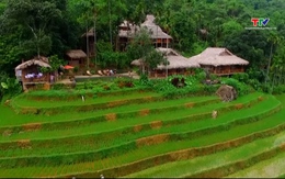 Xu hướng chọn nơi lưu trú trong kỳ nghỉ của du khách Việt