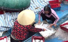 Thanh Hoá phát triển ngành thủy sản theo hướng bền vững