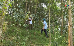 Hiệu quả chi trả dịch vụ môi trường rừng ở Thanh Hoá