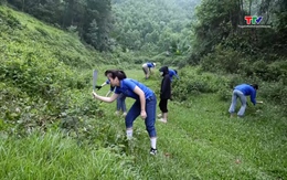 Thanh niên huyện Lang Chánh tham gia tình nguyện chăm sóc, bảo vệ rừng