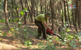 Tăng cường các biện pháp cấp bách  phòng cháy, chữa cháy rừng