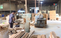 Doanh nghiệp chế biến gỗ nỗ lực tìm kiếm thị trường 