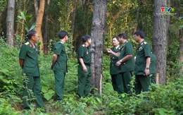 Thanh Hoá có hơn 250 Câu lạc bộ Cựu chiến binh phát triển kinh tế