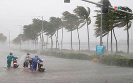 Sẽ có khoảng 11 - 13 cơn bão, áp thấp nhiệt đới trên Biển Đông