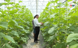 Nga Sơn đẩy mạnh ứng dụng khoa học công nghệ trong sản xuất  nông nghiệp