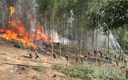 Thanh Hoá tiếp tục rà soát, thực hiện quyết liệt, hiệu quả các biện pháp cấp bách về phòng cháy, chữa cháy rừng trên địa bàn tỉnh