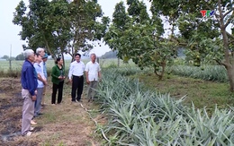 Hội Làm vườn và Trang trại Thanh Hóa góp phần nâng cao chất lượng, hiệu quả sản xuất nông nghiệp