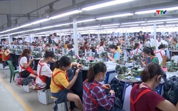 Huyện Thường Xuân đẩy mạnh thu hút đầu tư phát triển doanh nghiệp