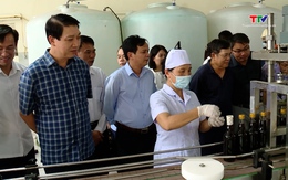 Phó Chủ tịch UBND tỉnh Lê Đức Giang kiểm tra một số nhiệm vụ khoa học công nghệ cấp tỉnh