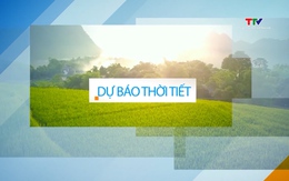 Video: Dự báo thời tiết khu vực tỉnh Thanh Hóa đêm 27/6, ngày 28/6/2024