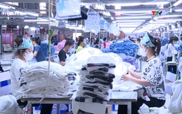 Nhiều doanh nghiệp dệt may Thanh Hoá kín đơn hàng sản xuất năm 2024