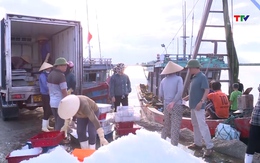 Thanh Hóa tăng cường kiểm tra kiểm soát tàu cá