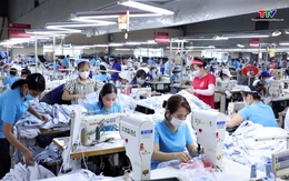 Việt Nam dẫn đầu thị phần xuất khẩu hàng dệt may tại Mỹ
