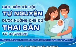 Bảo hiểm xã hội tự nguyện được hưởng chế độ thai sản từ 01/7/2025