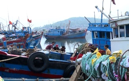 Quy hoạch hệ thống cảng cá, khu neo đậu tránh trú bão cho tàu cá đến 2030