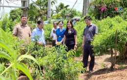 Trung ương Hội Nông dân Việt Nam làm việc tại huyện Nga Sơn