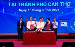 Xúc tiến Đầu tư - Thương mại tại thành phố Cần Thơ