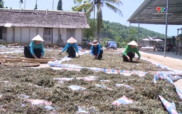 Phụ nữ Thanh Hóa đồng hành cùng hội viên phát triển kinh tế