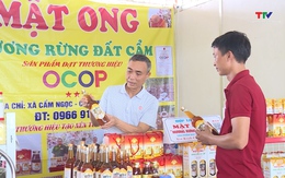 Đẩy mạnh kết nối, tiêu thụ sản phẩm OCOP