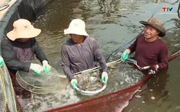 17.370 cơ sở nuôi trồng thuỷ sản đã ký cam kết sản xuất bảo đảm an toàn thực phẩm