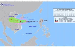 Áp thấp nhiệt đới có khả năng mạnh lên thành bão, cường độ cấp 8, giật cấp 10