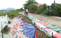 Thanh Hóa: Chủ động đảm bảo an toàn đê xung yếu