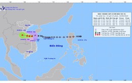 Bão số 4 trên vùng biển Quảng Bình - Thừa Thiên Huế, giật cấp 10 - 11