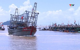 Hoàn thành kêu gọi tàu thuyền vào tránh, trú an toàn