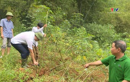 Huyện Bá Thước: 26 hộ dân khu vực nguy cơ cao sạt lở cao phải di dời