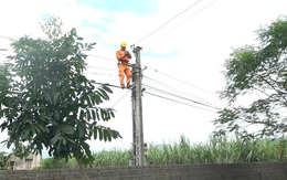 Điện lực Thạch Thành: Bảo đảm an toàn lưới điện phục vụ sinh hoạt, sản xuất sau lũ