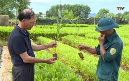 Nghiên cứu, chuyển giao kỹ thuật thâm canh cây trồng mới phục vụ sản xuất nông nghiệp