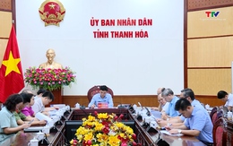 Phiên họp trực tuyến của Chính phủ về phát triển nhà ở xã hội