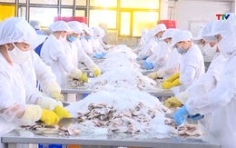 Các doanh nghiệp đẩy mạnh xuất khẩu trong những tháng cuối năm
