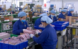 GDP quý IV phải tăng ít nhất 9,5%