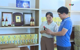 Thanh Hóa chú trọng phát triển sản phẩm OCOP