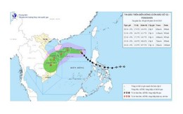 Bão số 12 di chuyển theo hướng Tây Bắc với tốc độ khoảng 25km/h