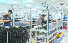 Thanh Hóa xuất khẩu hàng hóa đạt gần 5,9 tỷ USD