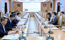 Thanh Hóa hợp tác với JICA minh bạch hóa thị trường lao động