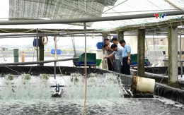 Phát triển kinh tế trang trại theo hướng bền vững