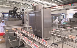 Giai đoạn 2026 - 2028: Dự kiến thu ngân sách Nhà nước đạt gần 8,5 triệu tỷ đồng