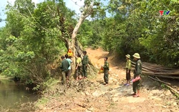 Dịch vụ môi trường rừng tạo động lực để người dân bảo vệ và phát triển rừng