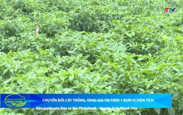 Bản tin Nông nghiệp – Nông thôn 4/10/2025