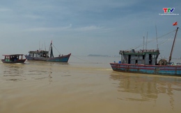 Cứu nạn thành công tàu cá gặp sự cố trên vùng biển Thanh Hóa