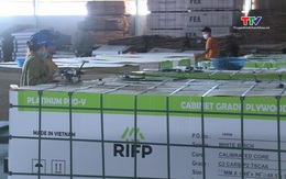 Ngành gỗ Thanh Hóa đa dạng hóa thị trường tiêu thụ