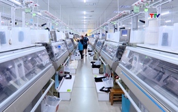 Thanh Hóa thu ngân sách hơn 44 nghìn tỷ đồng, đứng thứ 9 cả nước