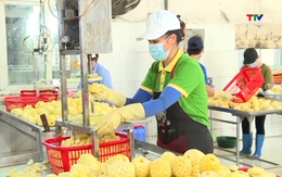 Cả nước xuất siêu 19,56 tỷ USD trong 10 tháng