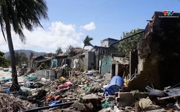 Bão số 13 gây thiệt hại hơn 7.800 tỷ đồng, làm 179 tàu bị sóng đánh chìm, hư hỏng 
